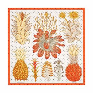 Khăn Nữ Hermès Index Bromeliaceae Scarf 90 Phối Màu - Duy Hoang