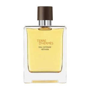 Nước Hoa Nam Hermès Terre D'Hermès Eau Intense Vétiver EDP 100ml - Duy Hoang