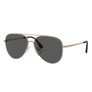 Kính Mát Nam Emporio Armani Sunglasses 0EA2149D 33718760 Màu Xám - Duy Hoang